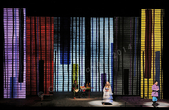 San Francisco Opera Magic Flute (2015)