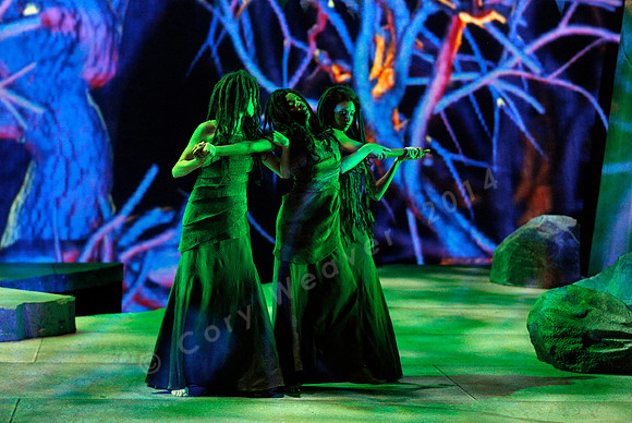 Lyric Opera of Kansas City Rusalka