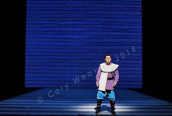 San Francisco Opera Magic Flute (2015)