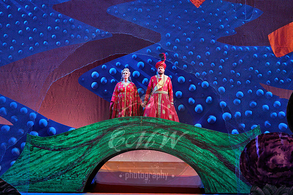 _DSC0225