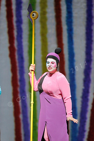 San Francisco Opera Magic Flute (2015)