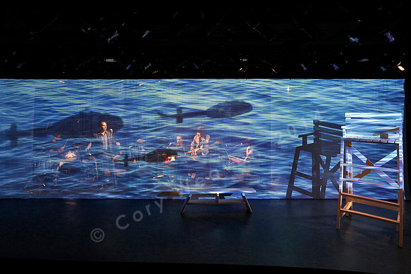 Prototype Festival 2016, The Good Swimmer