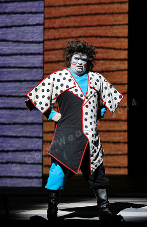 San Francisco Opera Magic Flute (2015)