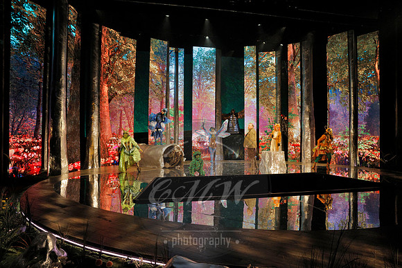 Des Moines Metro Opera, The Cunning Little Vixen