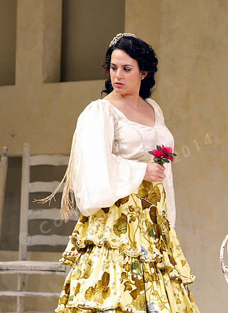 San Francisco Opera Il Barbier de Seville