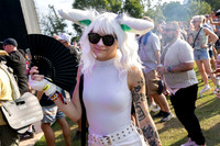 Shaky Knees Music Festival,