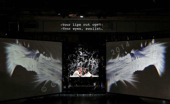Prototype Festival 2016, Angel's Bone