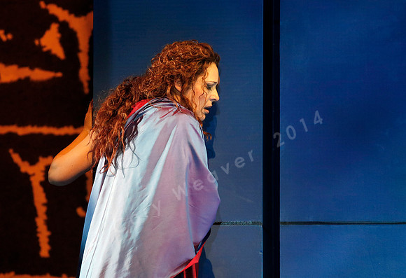 Lyric Opera of Chicago, Nabucco