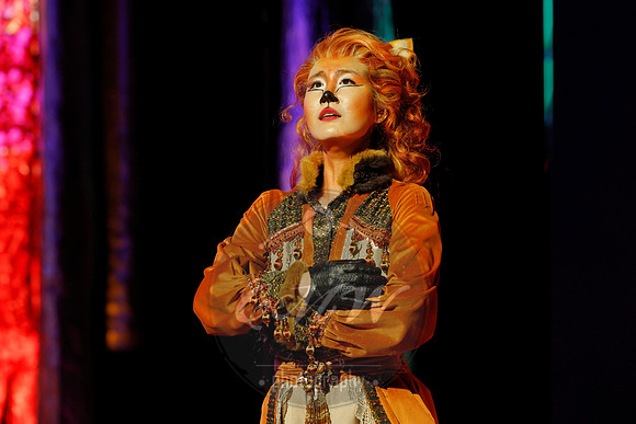 Des Moines Metro Opera, The Cunning Little Vixen