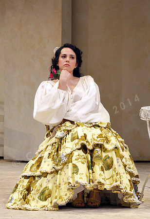 San Francisco Opera Il Barbier de Seville