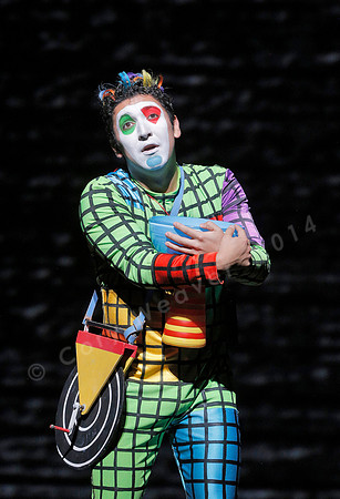 San Francisco Opera Magic Flute (2015)