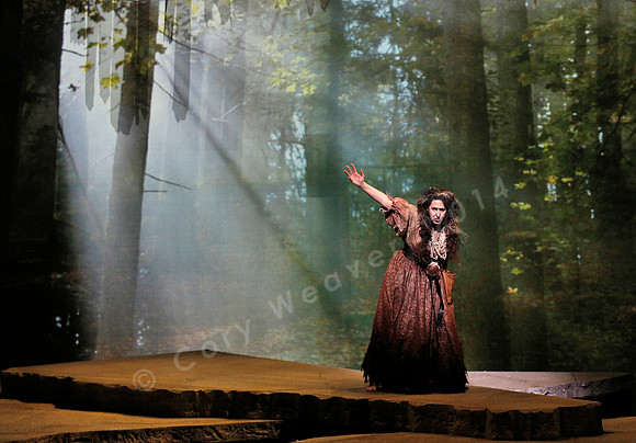 Lyric Opera of Kansas City Rusalka