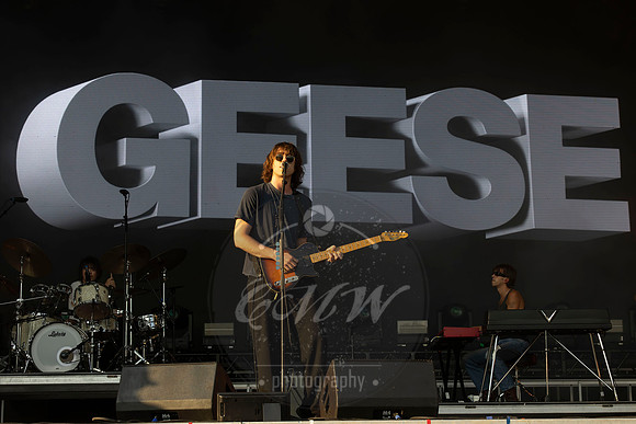 Shaky Knees Music Festival,