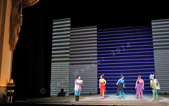 San Francisco Opera Magic Flute (2015)