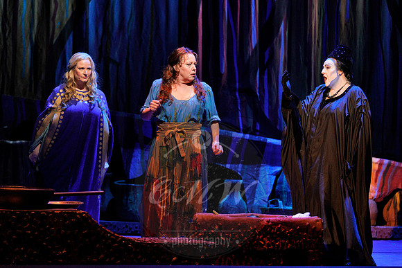 _DSC2172 copy
