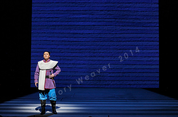 San Francisco Opera Magic Flute (2015)
