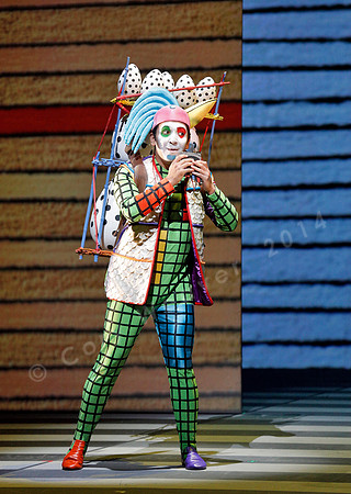San Francisco Opera Magic Flute (2015)