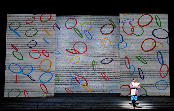 San Francisco Opera Magic Flute (2015)