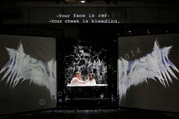 Prototype Festival 2016, Angel's Bone