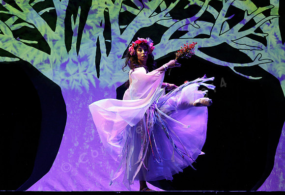 West Edge Opera, Cunning Little Vixen