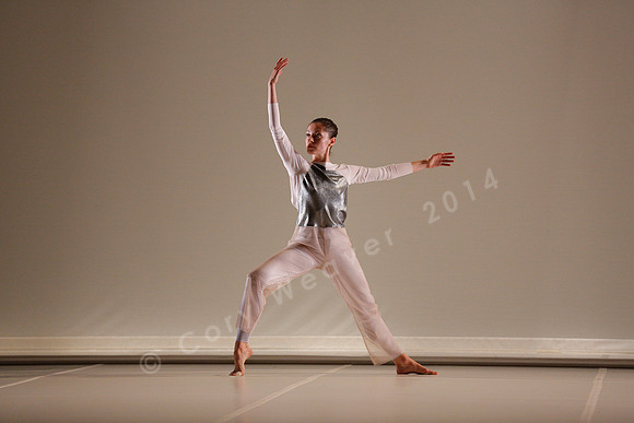 Bard Summerscape, Pam Tanowitz Dance Company