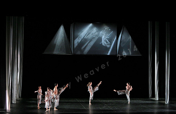 Proscenium Works: 1979–2011 Trisha Brown Dance Company