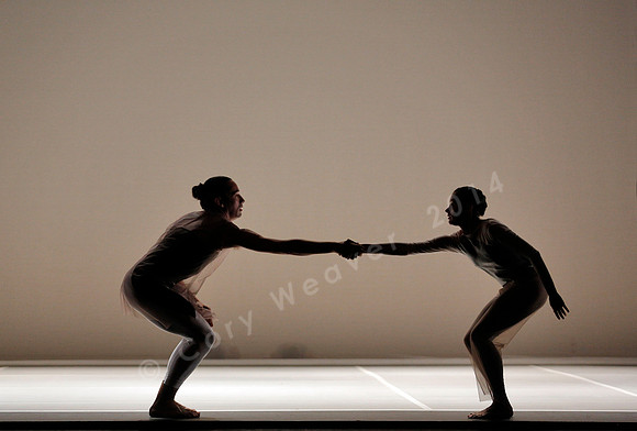 Bard Summerscape, Pam Tanowitz Dance Company