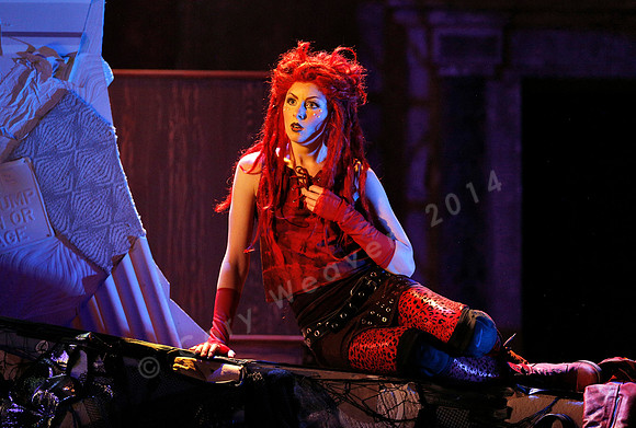 West Edge Opera, Cunning Little Vixen