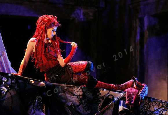 West Edge Opera, Cunning Little Vixen