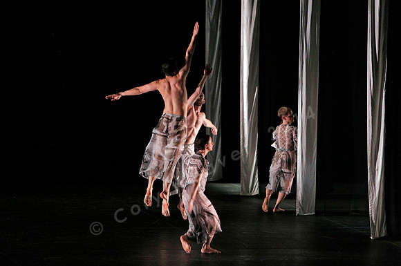 Proscenium Works: 1979–2011 Trisha Brown Dance Company