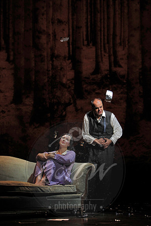 Bard Summerscape, The Distant Sound, Der ferne Klang