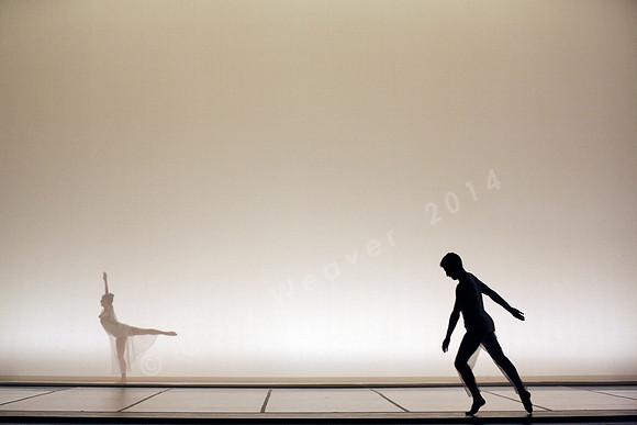 Bard Summerscape, Pam Tanowitz Dance Company