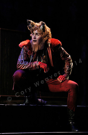 West Edge Opera, Cunning Little Vixen