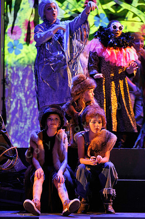 West Edge Opera, Cunning Little Vixen