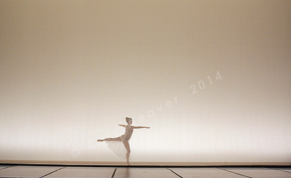 Bard Summerscape, Pam Tanowitz Dance Company