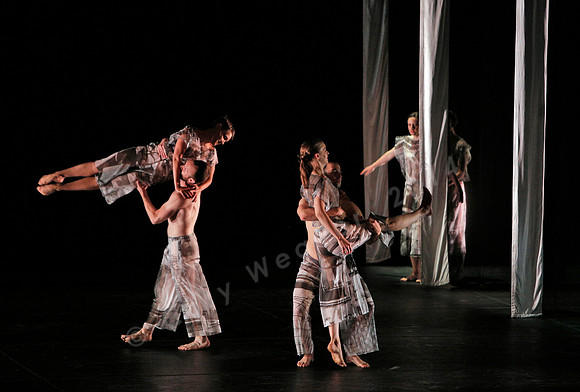Proscenium Works: 1979–2011 Trisha Brown Dance Company