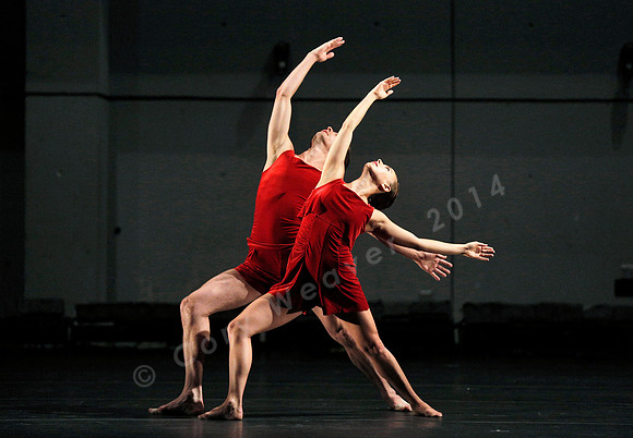 Bard Summerscape, Pam Tanowitz Dance Company