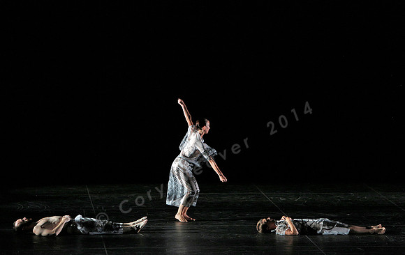Proscenium Works: 1979–2011 Trisha Brown Dance Company