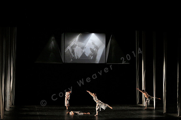 Proscenium Works: 1979–2011 Trisha Brown Dance Company