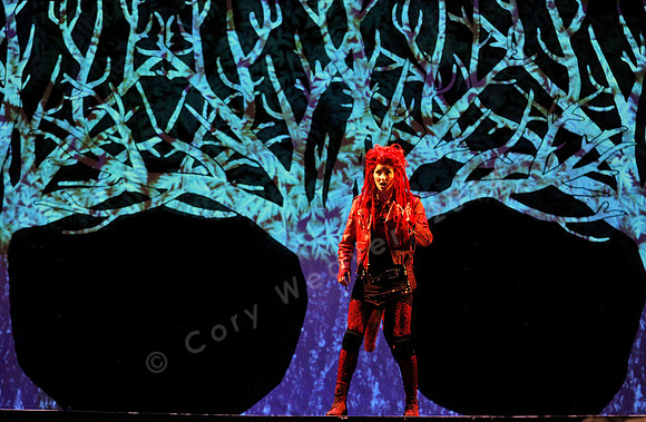 West Edge Opera, Cunning Little Vixen