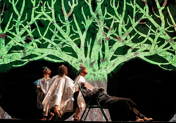 West Edge Opera, Cunning Little Vixen