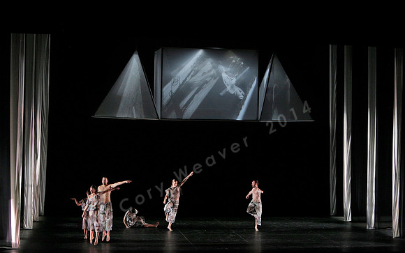 Proscenium Works: 1979–2011 Trisha Brown Dance Company