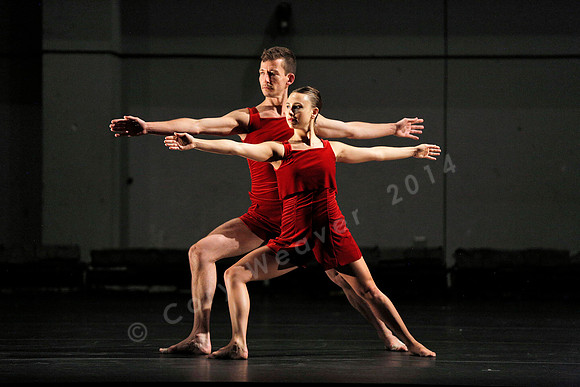 Bard Summerscape, Pam Tanowitz Dance Company