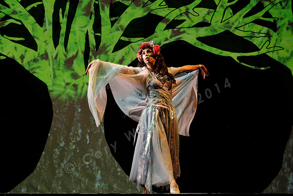 West Edge Opera, Cunning Little Vixen