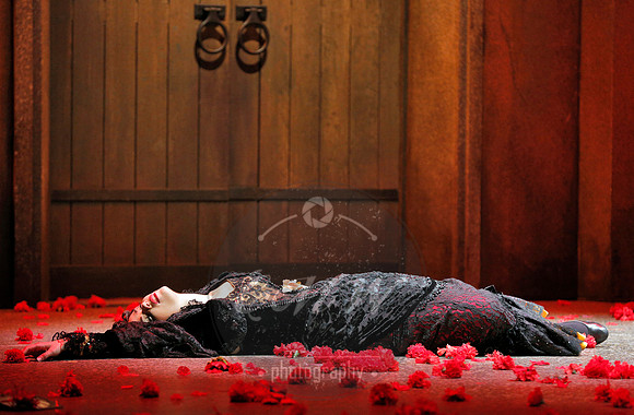 Lyric Opera of Kansas City, Carmen