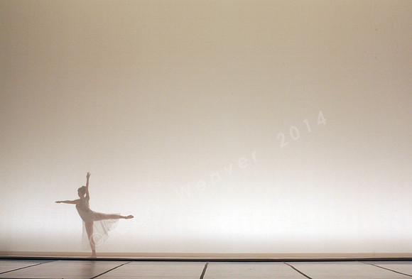 Bard Summerscape, Pam Tanowitz Dance Company