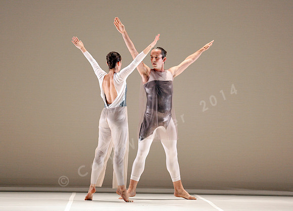 Bard Summerscape, Pam Tanowitz Dance Company