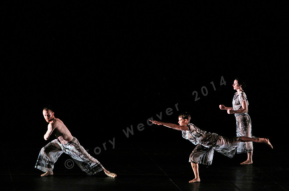 Proscenium Works: 1979–2011 Trisha Brown Dance Company