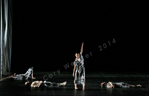 Proscenium Works: 1979–2011 Trisha Brown Dance Company