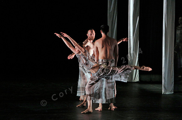 Proscenium Works: 1979–2011 Trisha Brown Dance Company